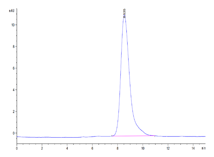 Human CD44s Protein (CD4-HM144)