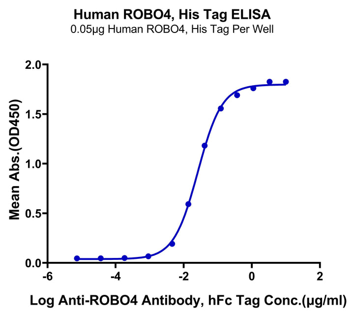 Human ROBO4 Protein (ROB-HM104)