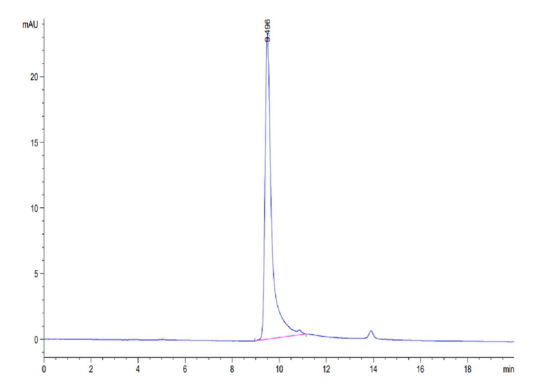 Human S100A8 Protein (SA8-HE101)