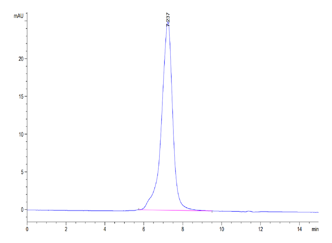 Human Kremen-1 Protein (KRE-HM201)