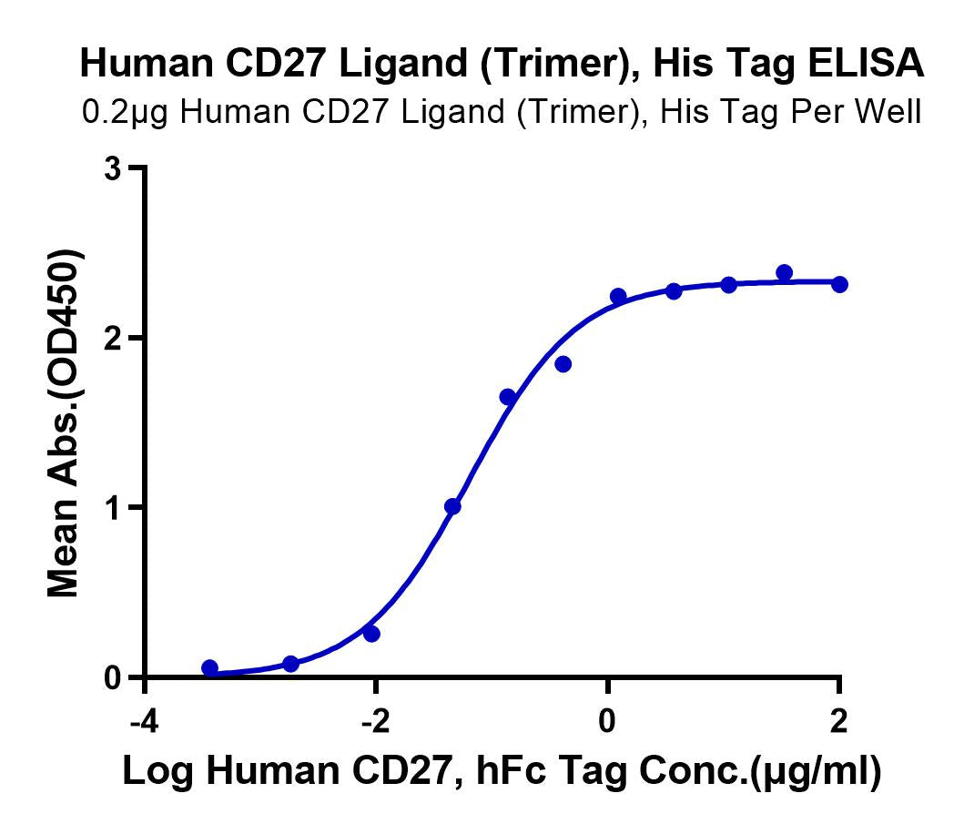 Human CD27 Ligand/CD70 Trimer Protein (CDL-HM427)