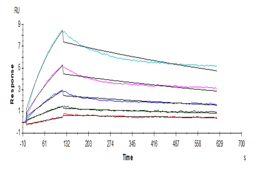 Human ACE2/ACEH Protein (ACE-HM101)