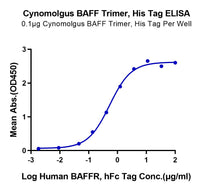 Non-biotinylated Cynomolgus BAFF/TNFSF13B/CD257 Trimer Protein (BAF-CM412)