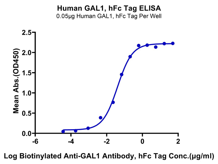 Human Galectin 1 Protein (GAL-HM201)