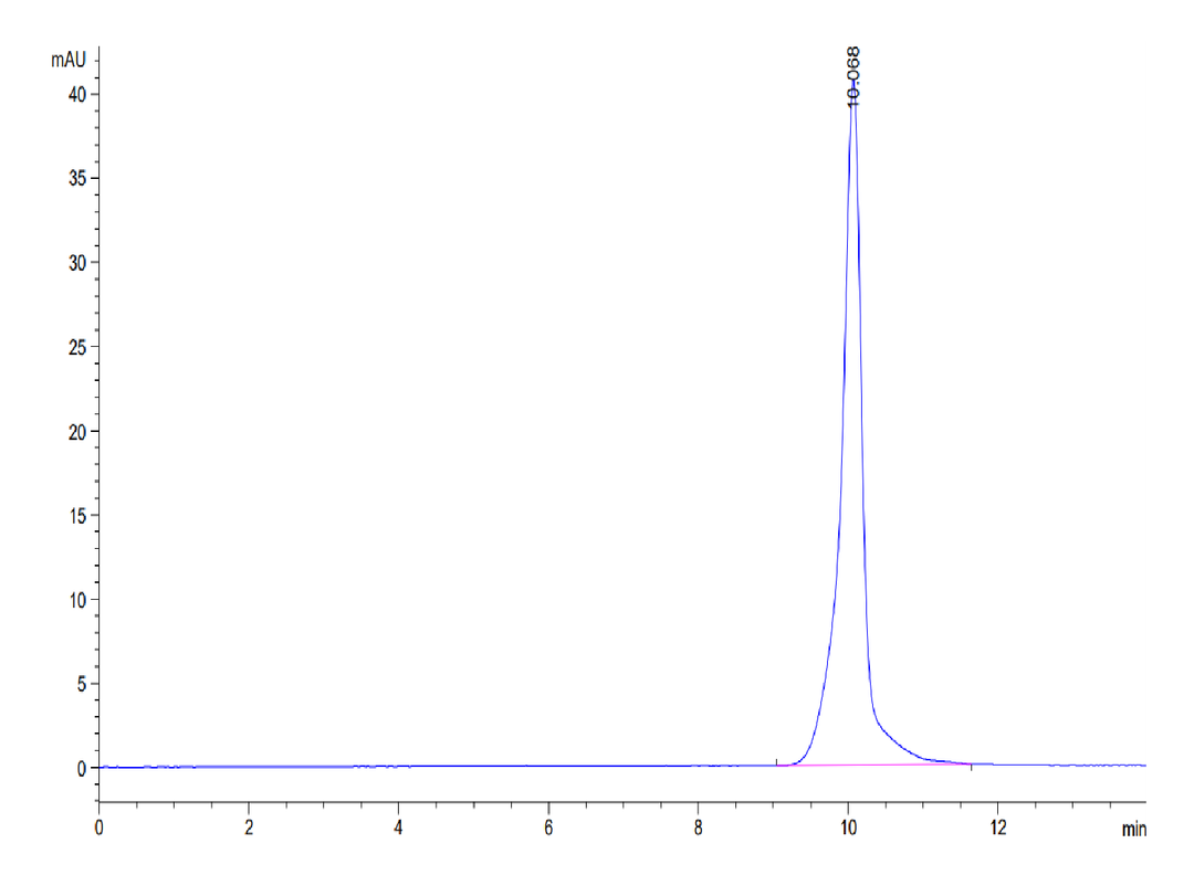 Human BAMBI Protein (BAM-HM201)