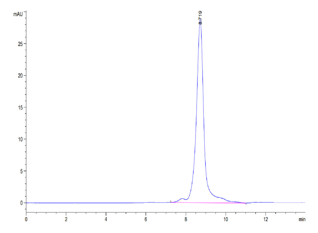 Human AGER Protein (AER-HM101)