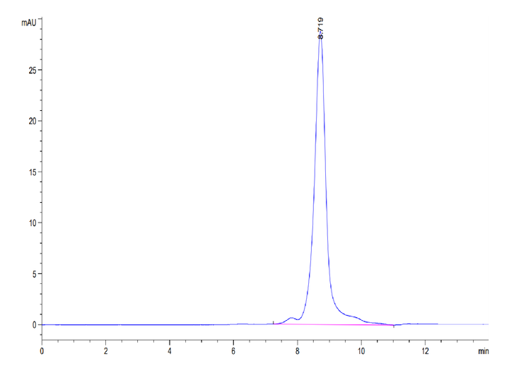 Human AGER Protein (AER-HM101)