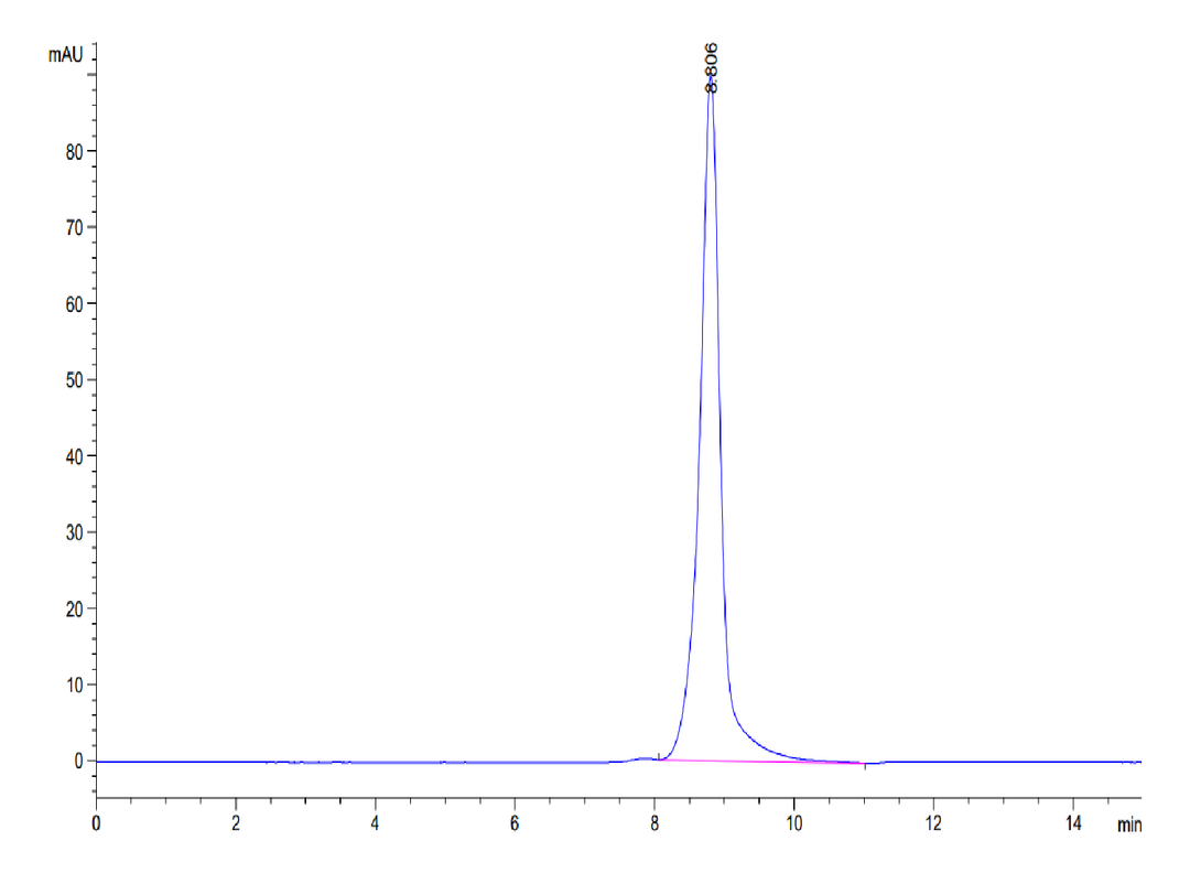 Mouse AGER Protein (AER-MM101)