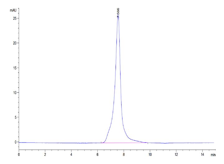 Mouse Ephrin-A3/EFNA3 Protein (EFN-MM2A3)