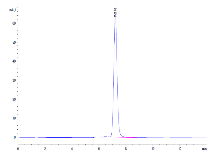 Human MCEMP1 Protein (MCE-HM201)