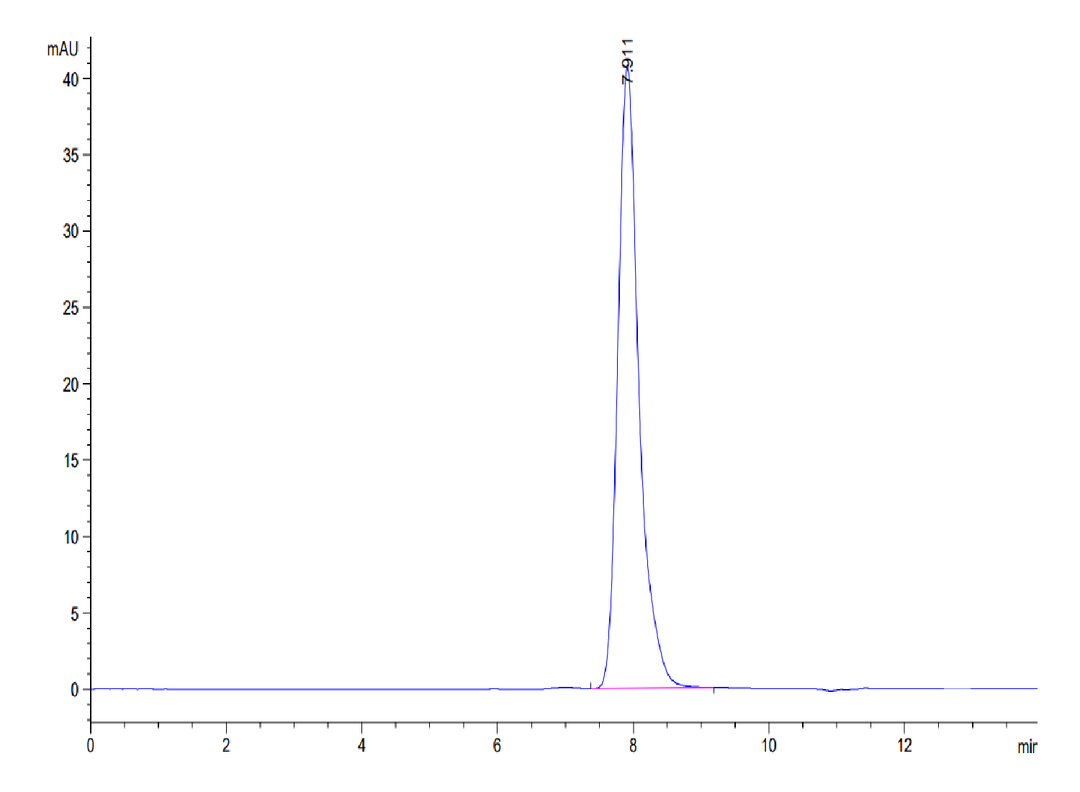 Human LAMP5 Protein (LAM-HM205)