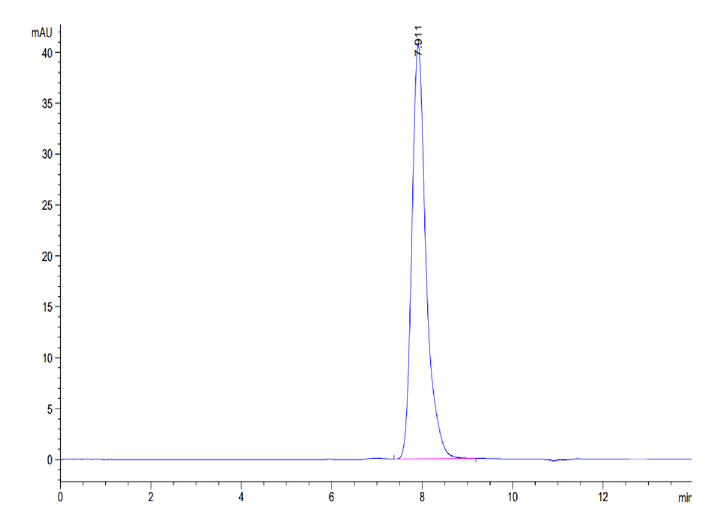 Human LAMP5 Protein (LAM-HM205)