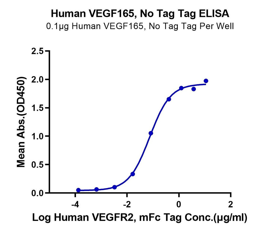 Human VEGF165 Protein (VEG-HM065)