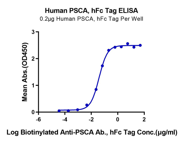 Human PSCA-Protein (PCA-HM201)