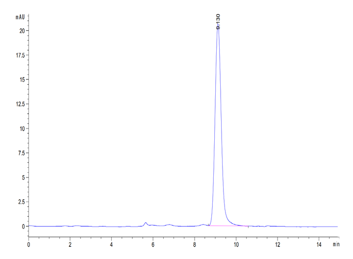 Mouse Serpin F1/PEDF Protein (SF1-MM101)