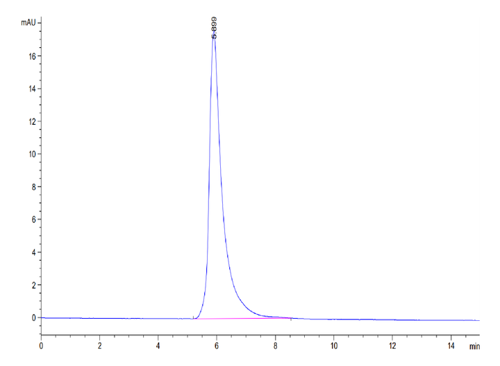 Human BTN3A3/BTF3 Protein (BNT-HM1A3)