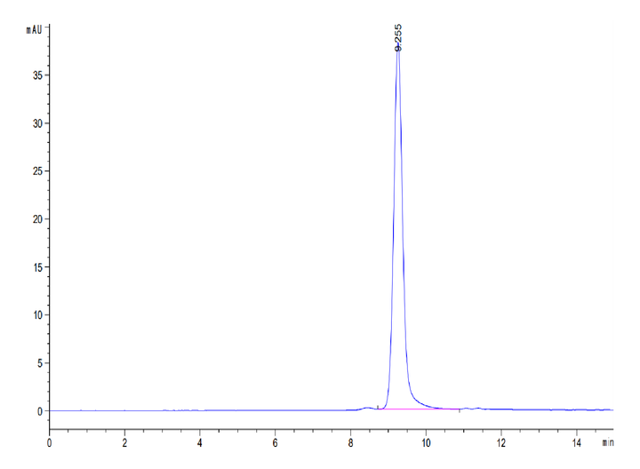 Mouse CCL24 Protein (CCL-MM124)