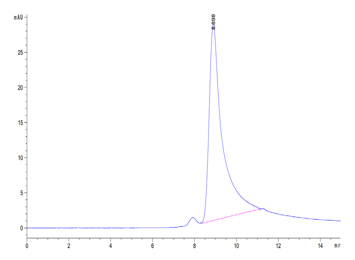 Mouse NKG2D/CD314 Protein (NKG-MM12D)