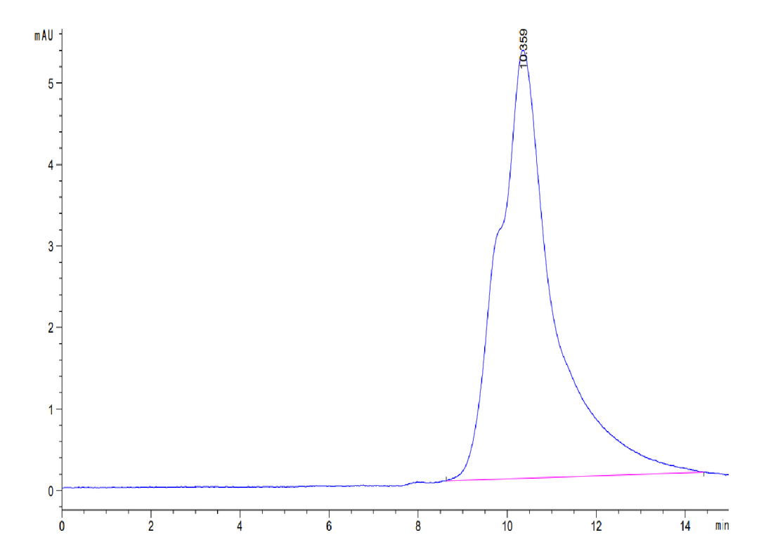 Human SFRP2 Protein (SRP-HM102)