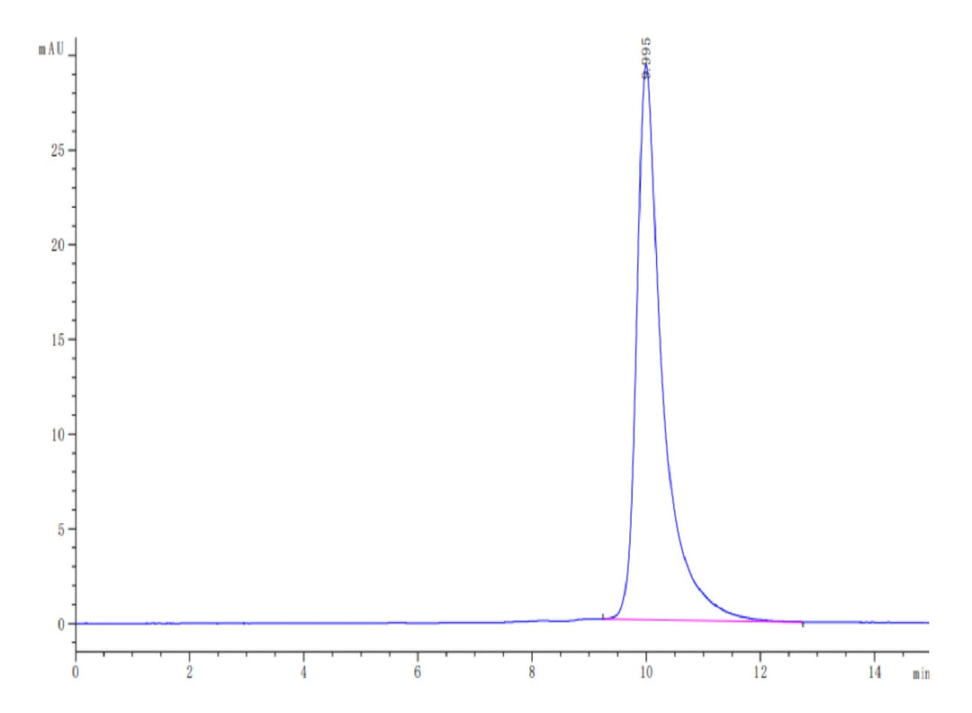 Human/Cynomolgus/Rhesus macaque ROR1 (165-305, Frizzled Domain) Protein (ROR-HM10F)