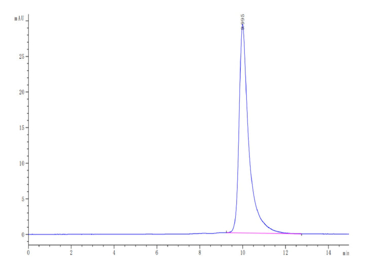 Human/Cynomolgus/Rhesus macaque ROR1 (165-305, Frizzled Domain) Protein (ROR-HM10F)