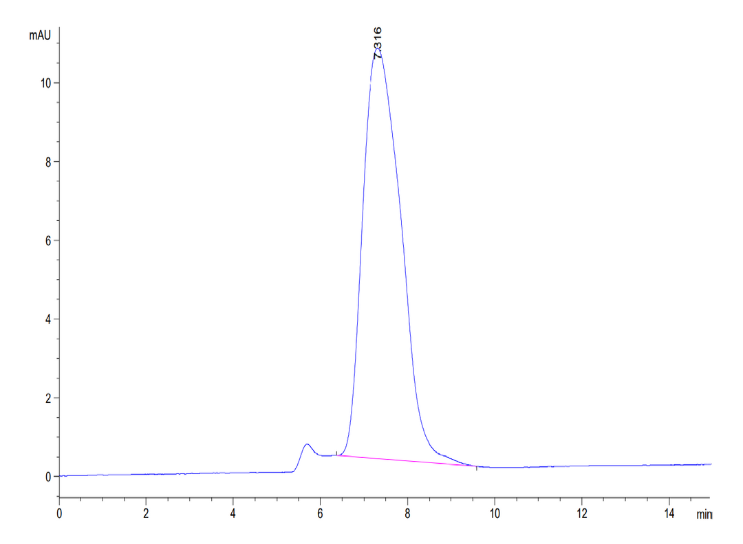 Human ECSCR Protein (ECS-HM201)