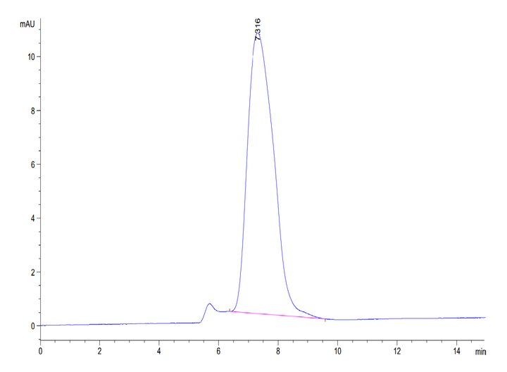 Human ECSCR Protein (ECS-HM201)