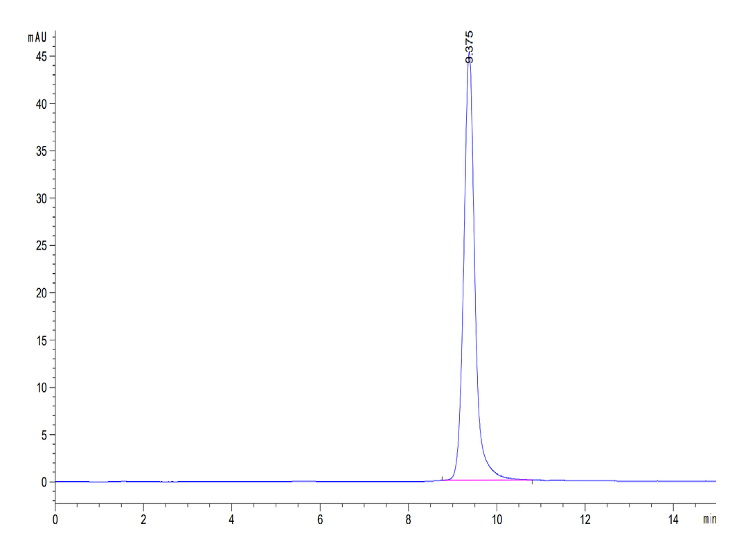 Human Annexin V/ANXA5 Protein (AN5-HE005)