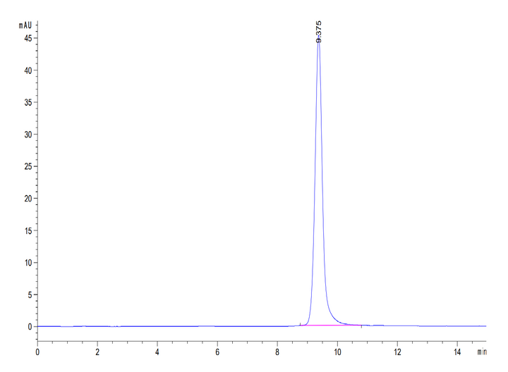 Human Annexin V/ANXA5 Protein (AN5-HE005)