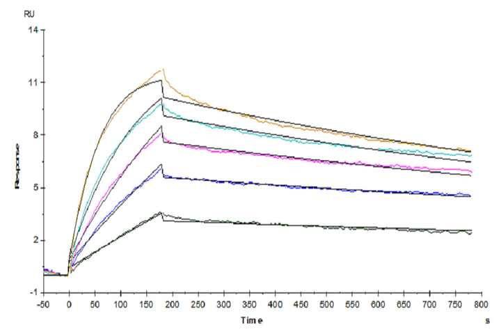 Human Claudin 18.2 Protein-VLP (CLD-HE1822)