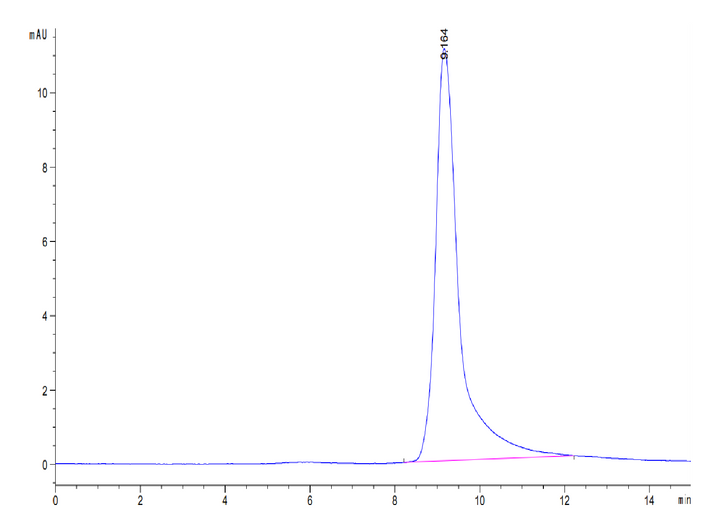 Mouse IGFBP-7 Protein (IGF-MM1BP)