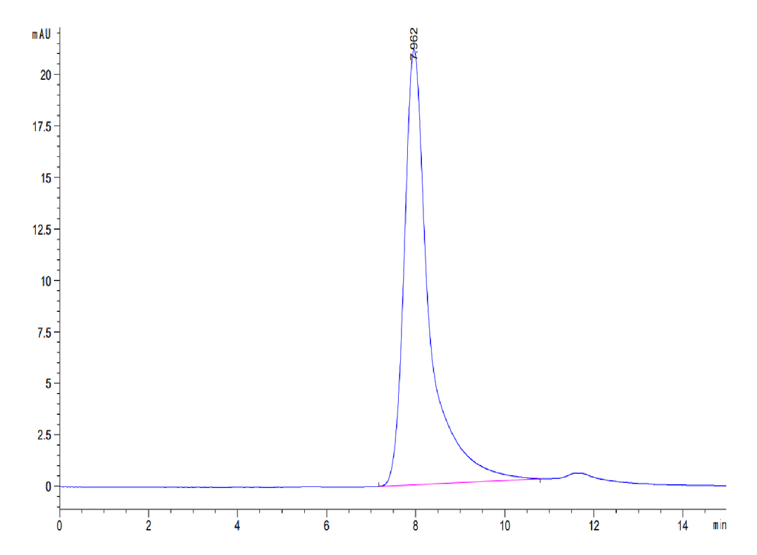 Human Coagulation factor XI Protein (FXI-HM101)