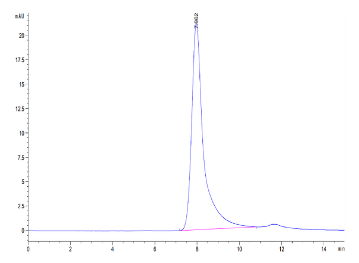 Human Coagulation factor XI Protein (FXI-HM101)