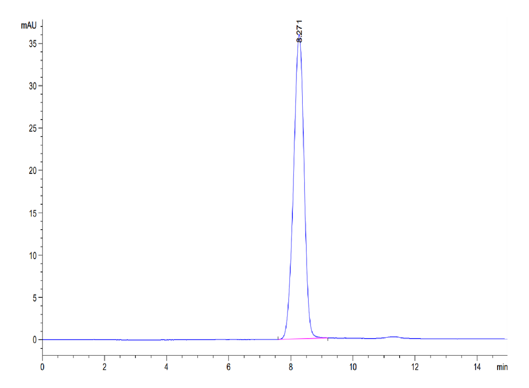 Human EphB3 Protein (EPH-HM1B3)