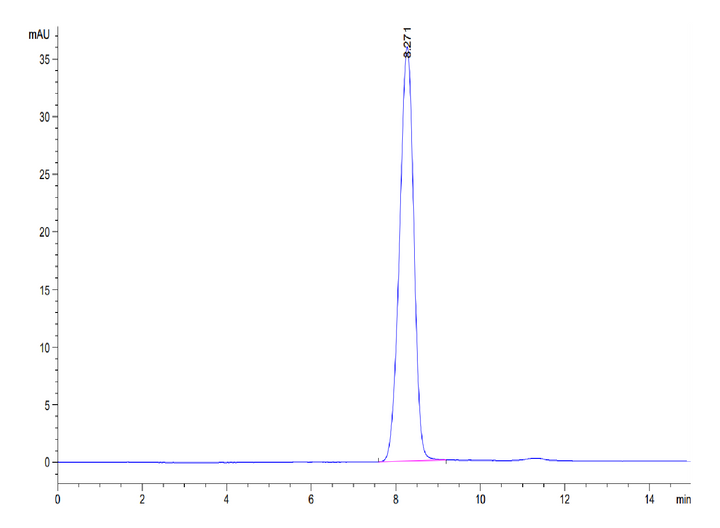 Human EphB3 Protein (EPH-HM1B3)