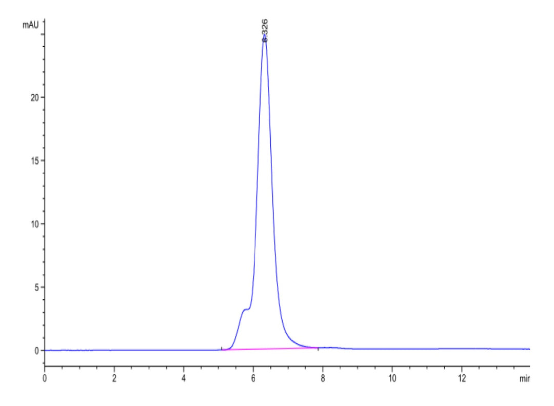 Mouse SEZ6 Protein (SEZ-MM106)