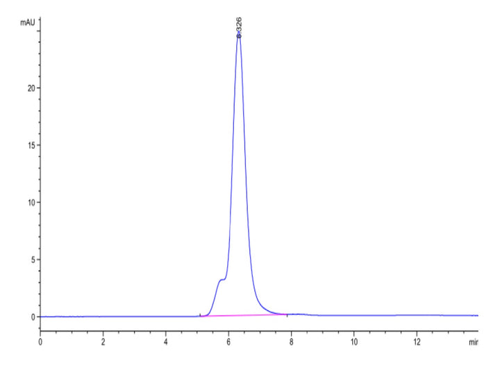 Mouse SEZ6 Protein (SEZ-MM106)