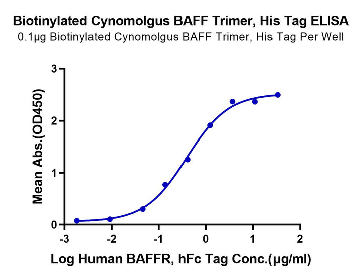 Biotinylated Cynomolgus BAFF/TNFSF13B/CD257 Trimer Protein (BAF-CM412B)