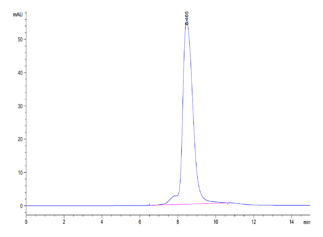 Mouse WISP1 Protein (WIP-MM101)