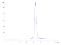 HPLC chromatogram showing a single sharp protein peak at 8.465 minutes indicating high purity and low aggregation.