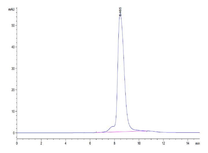 Mouse WISP1 Protein (WIP-MM101)