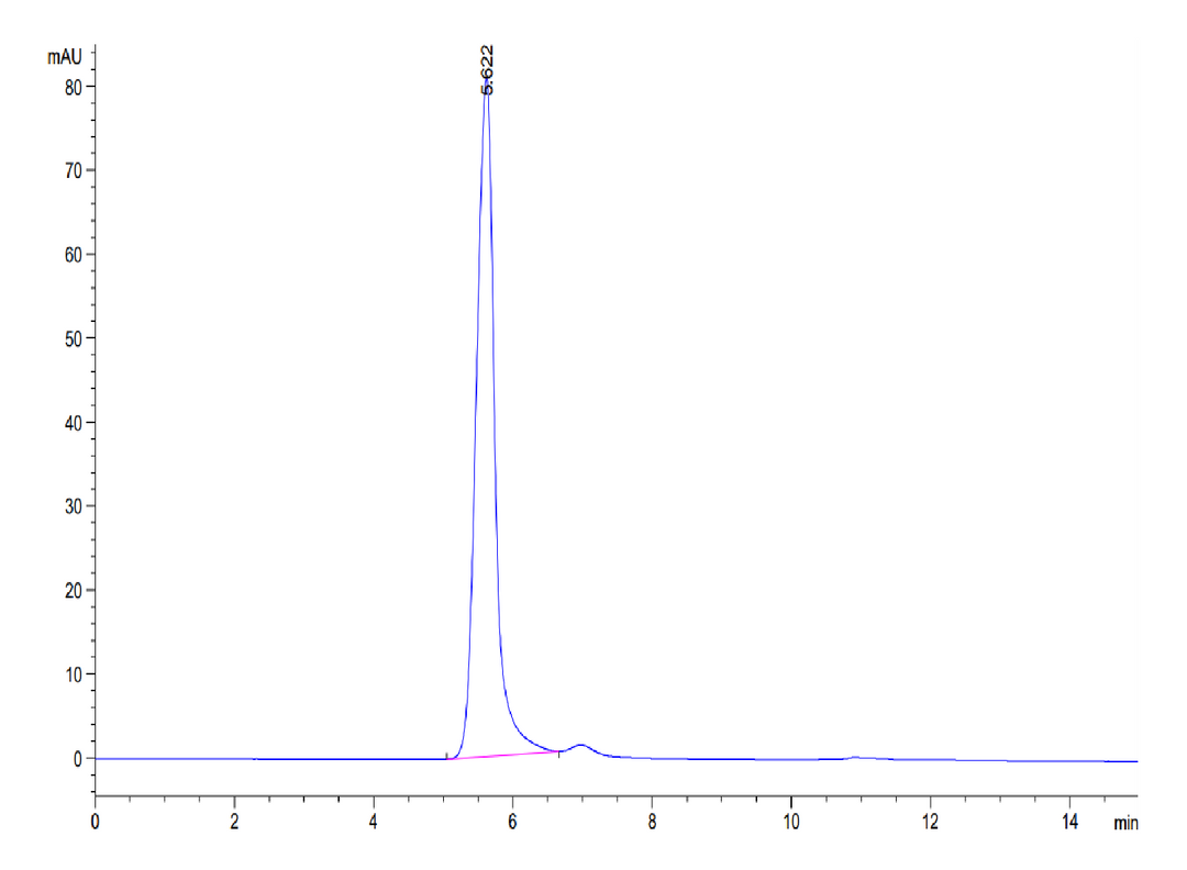 Mouse IFN alpha/beta R1 Protein (IFN-MM2R1)