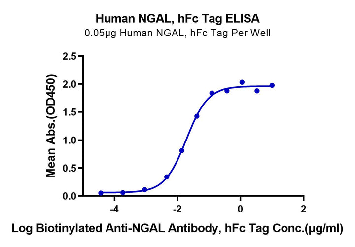 Human NGAL/Lipocalin-2 Protein (NGL-HM201)