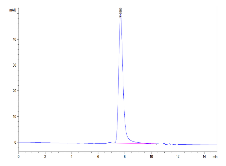 Mouse FLT3 Ligand Protein (FLT-MM23L)