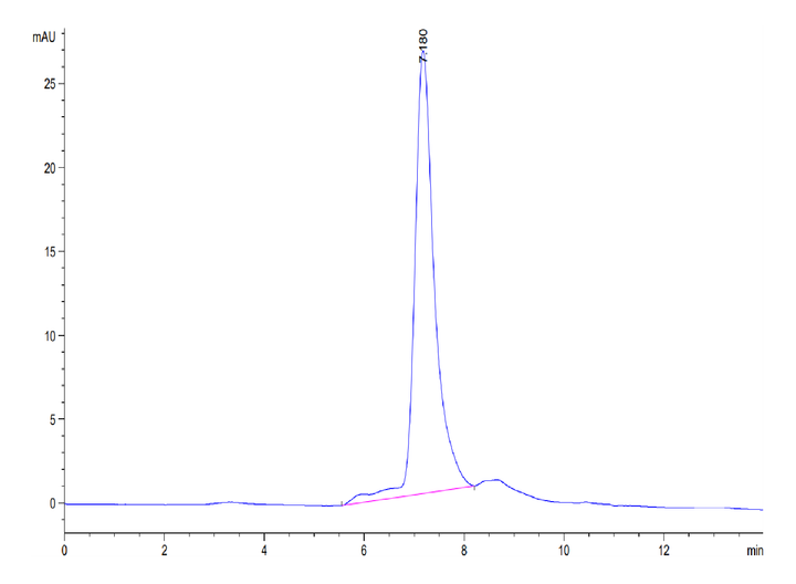 Mouse TREML2/TLT-2 Protein (TLT-MM102)