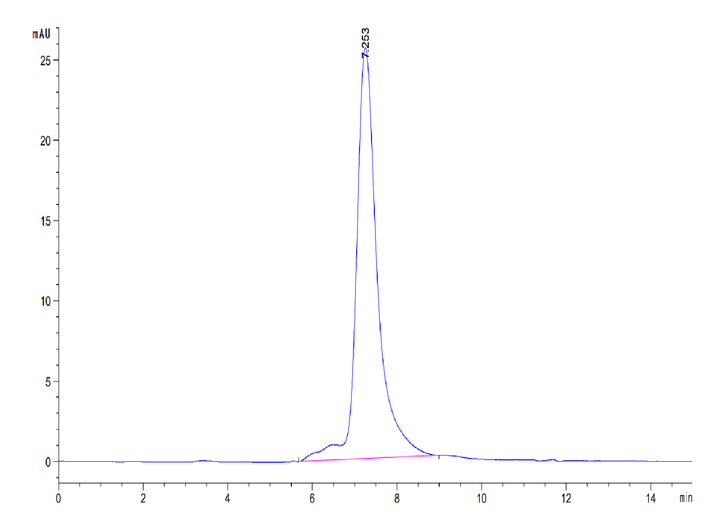 Mouse Periostin/OSF-2 Protein (OSF-MM102)