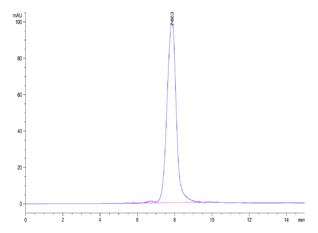 Biotinylated Human ANGPTL2/Angiopoietin-like 2 Protein (ANG-HM4L2B)