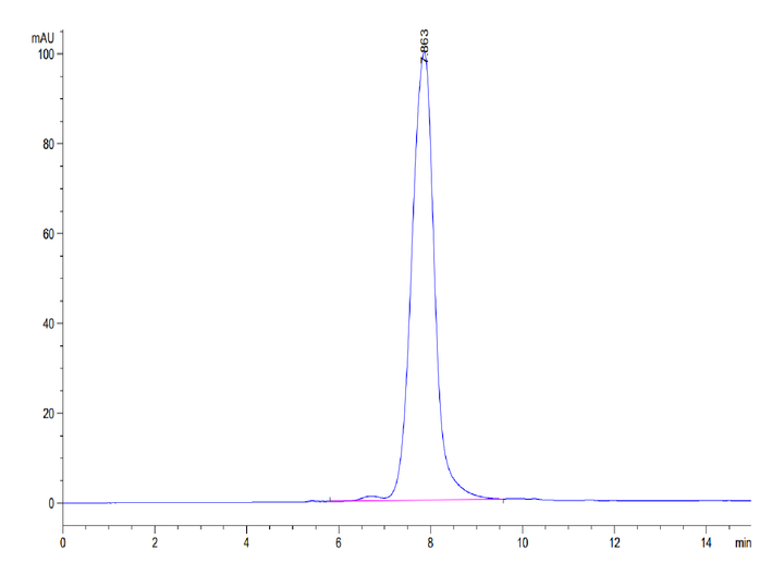 Biotinylated Human ANGPTL2/Angiopoietin-like 2 Protein (ANG-HM4L2B)