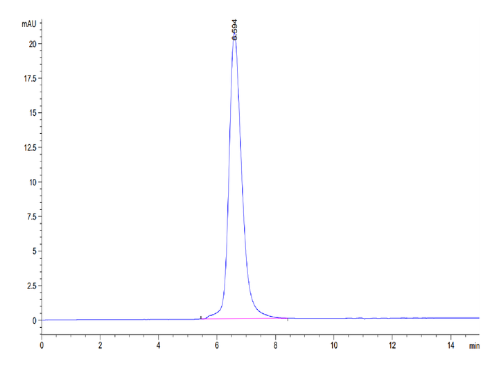 Mouse SEZ6L2 Protein (SEZ-MM1L2)