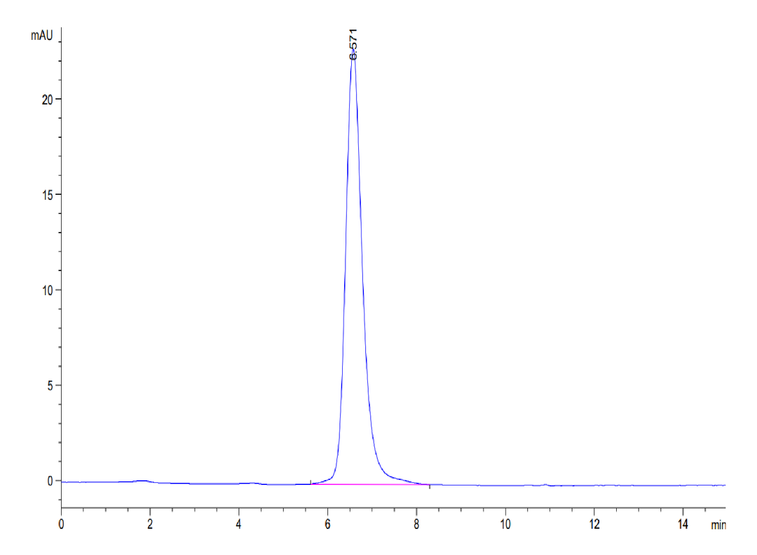 Human SEZ6L2 Protein (SEZ-HM1L2)